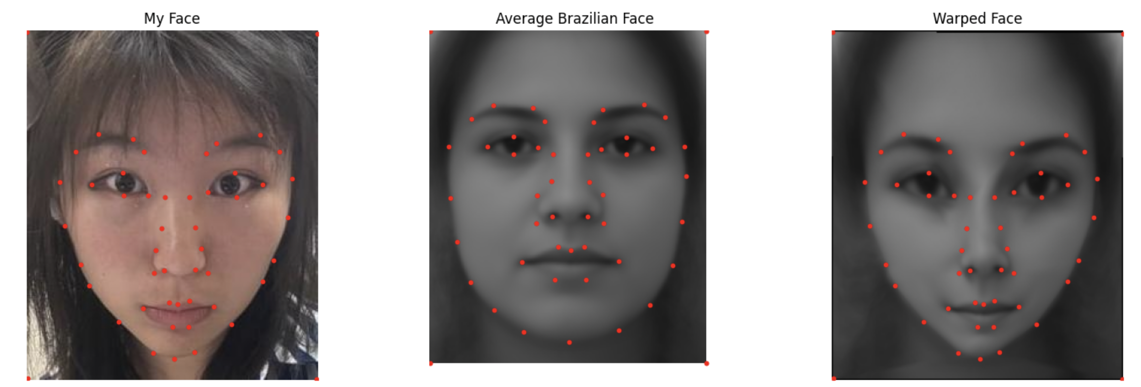 My Face Warped to Mean Geometry