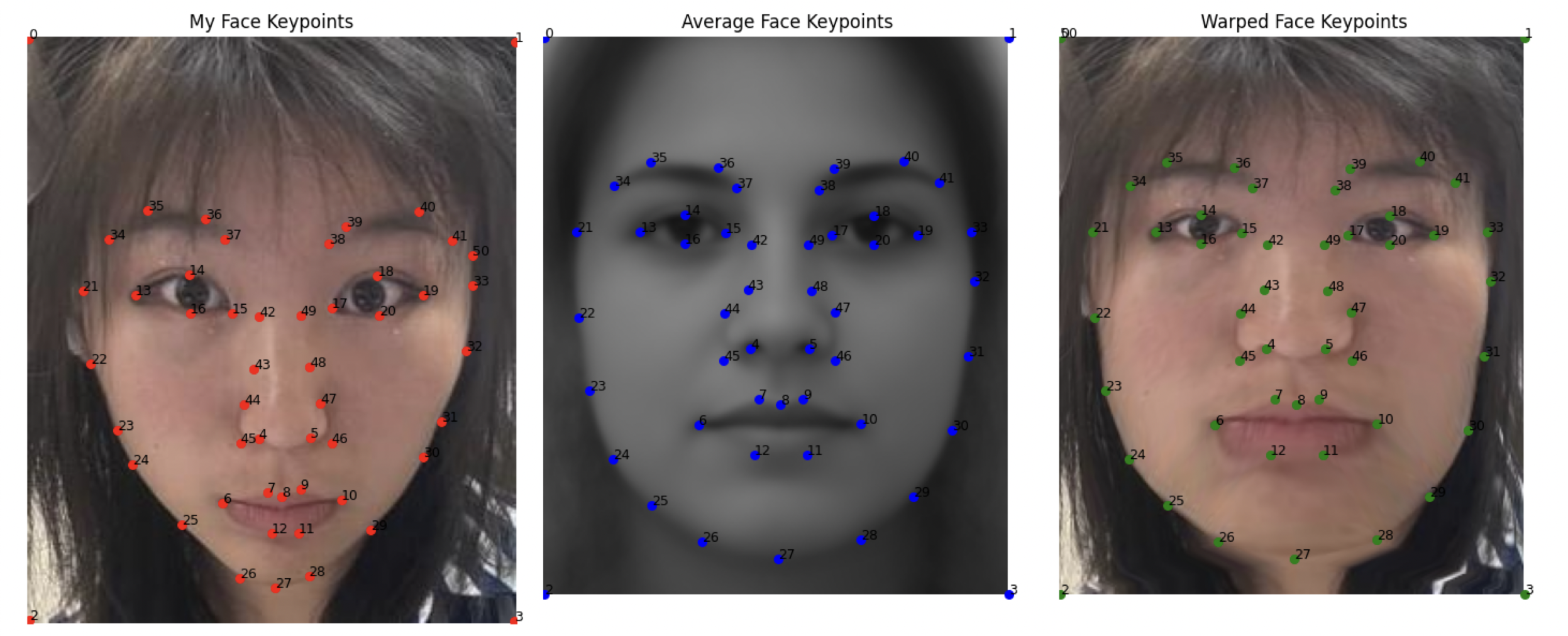 My Face Warped to Mean Geometry